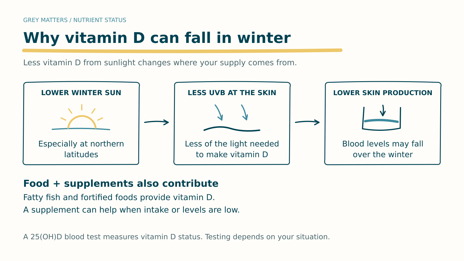 Whiteboard sketch explaining why vitamin D levels drop in winter